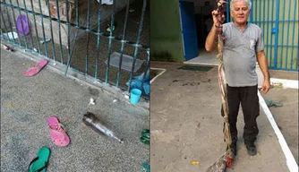 Grade quebrada e corda improvisada foram utilizados em tentativa de fuga de cerca de 40 internos