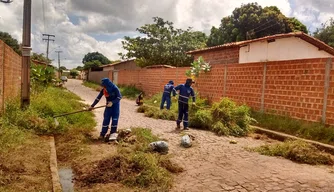 SDU Centro/Norte realiza mutirão de limpeza na zona norte