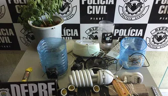 Material para cultivo de maconha é apreendido pela DEPRE