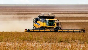 Agricultura tem maior cescimento nos últimos 20 anos.