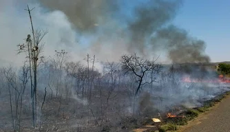 Lei proíbe queimadas em Teresina