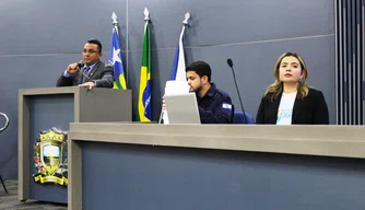 Audiência na Câmara com a promotora Flávia Cordeiro