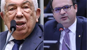 Paes Landim e Maia Filho votaram contra o prosseguimento do processo contra temer.