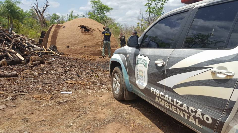 Os donos dos fornos de carvão operavam sem licença ambiental e usavam lenha de forma clandestina.