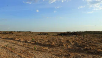 MP-PI trabalha pela punição de empresa que destruiu 463 hectares de área de preservação.