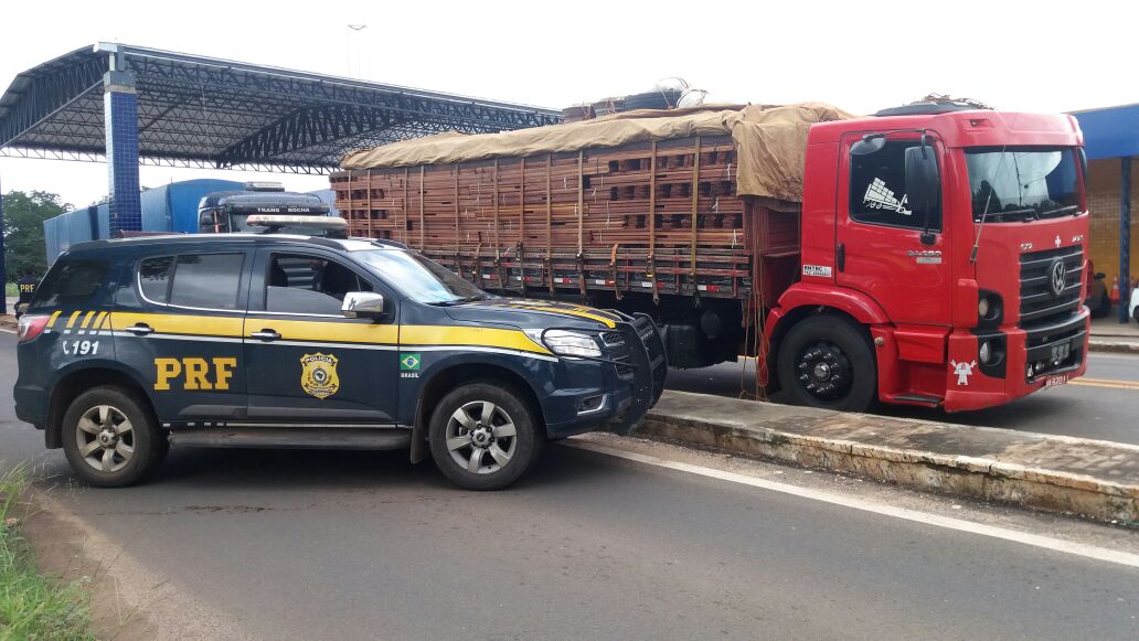 A PRF constatou o cometimento de crime ambiental.