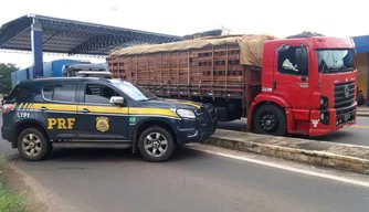 A PRF constatou o cometimento de crime ambiental.