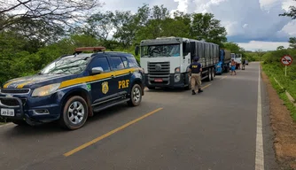 Os veículos possuíam mais de 100 toneladas de madeira sem autorização.