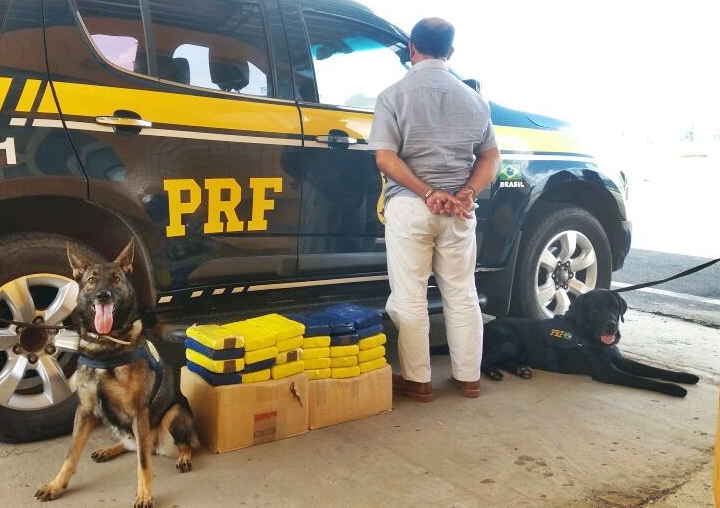 Cães farejadores identificaram caixas com entorpecente