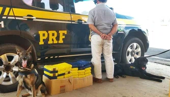 Cães farejadores identificaram caixas com entorpecente