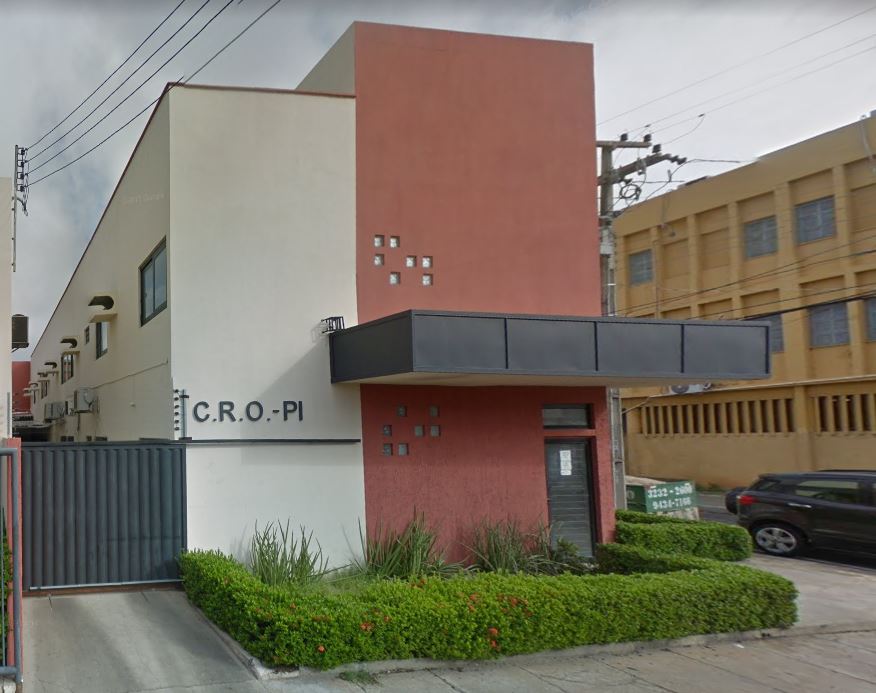 Conselho Regional de Odontologia do Piauí (CRO-PI).