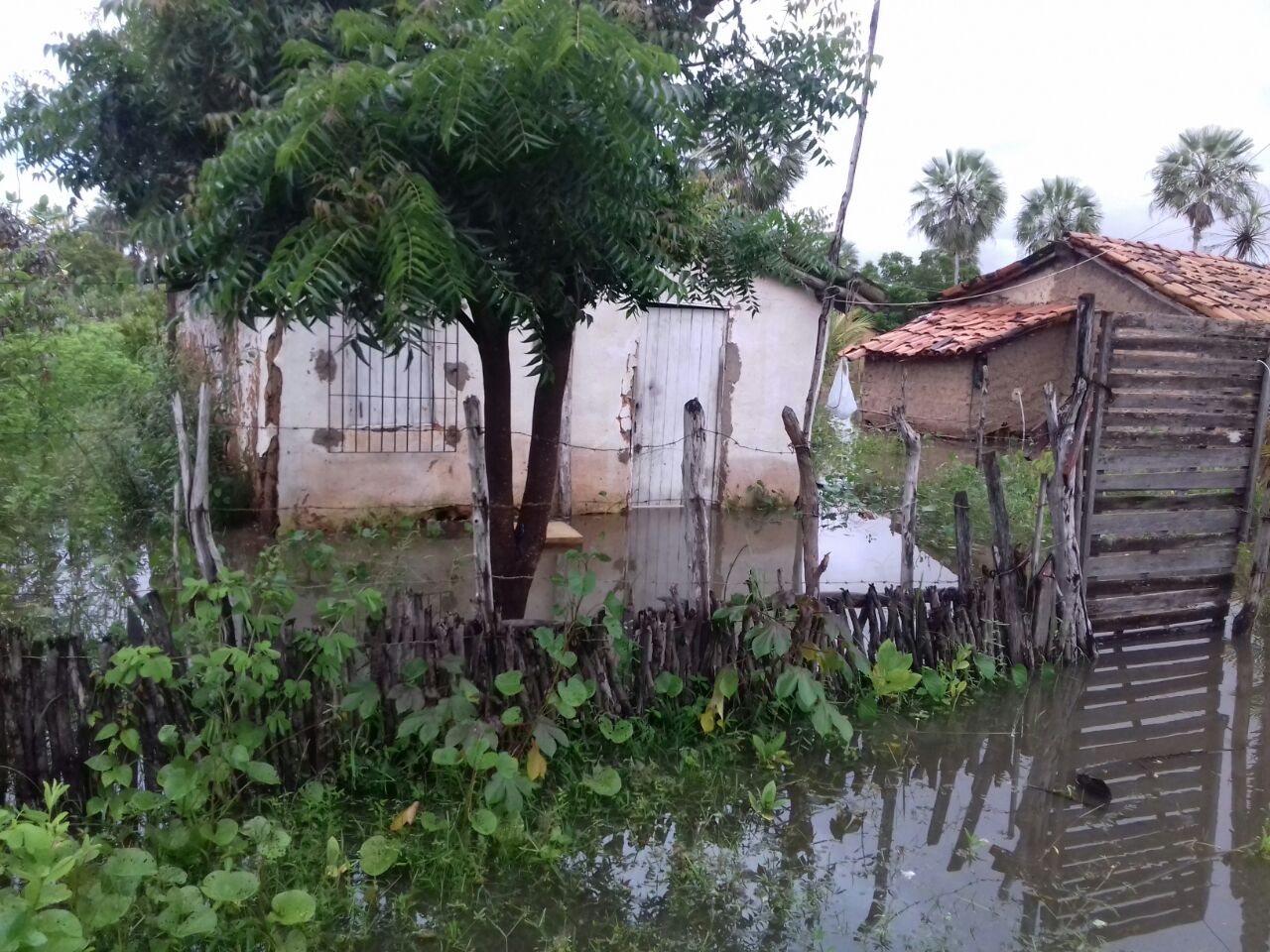 A Sedesc afirma que está dando apoio às famílias desabrigadas.