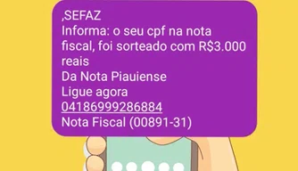 Mensagem enviada pelos estelionatários aos consumidores.