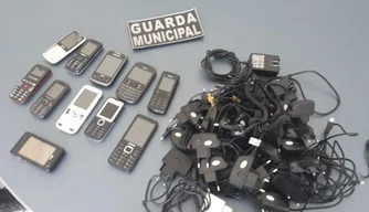 Apreensão realizada pela Guarda Municipal.