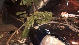 O acidente ocorreu na Avenida João XXIII, na noite dessa quinta-feira (17).
