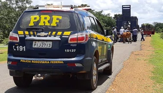 PRF busca diminuir número de acidentes nas pistas.