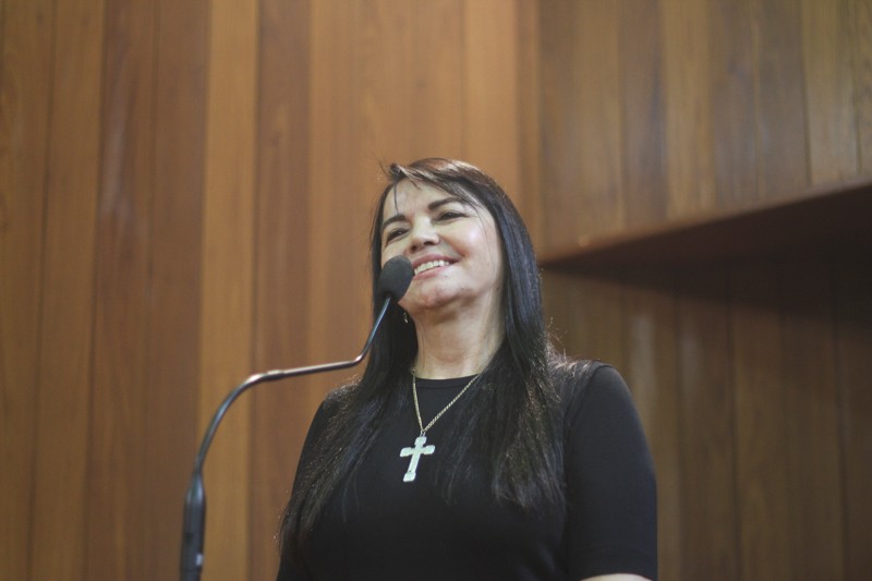 Teresa Britto anuncia projetos.