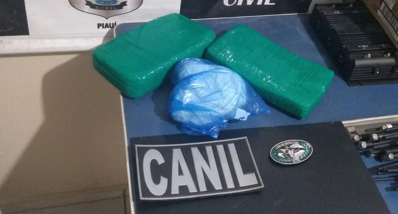 Droga apreendida pela polícia no interior do veículo.