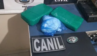 Droga apreendida pela polícia no interior do veículo.