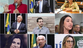 Deputados piauienses votaram a favor das mudanças nas regras eleitorais.