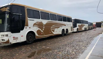 Ônibus clandestinos apreendidos