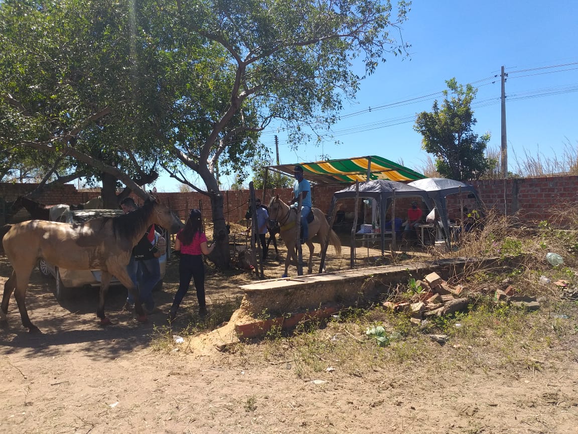 Uma vaquejada foi registrada na zona Sul