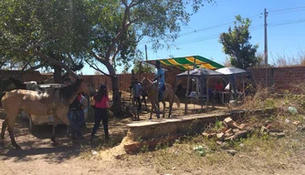 Uma vaquejada foi registrada na zona Sul