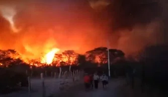 Incêndio em Monsenhor Hipólito já dura mais de 12 horas