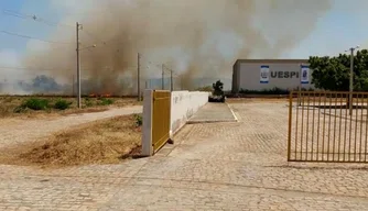 O incêndio iniciou em um terreno baldio e atingiu rapidamente o campus da UESPI em Picos.