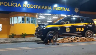 PRF apreendeu mala com 37 Kg de maconha em tabletes em ônibus