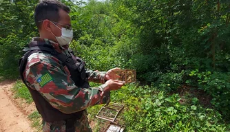 Polícia Militar apreende pássaros em cativeiro.