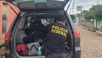 Operação Reagente II da Polícia Federal