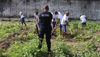 Internos preparam solo para plantio em penitenciária.