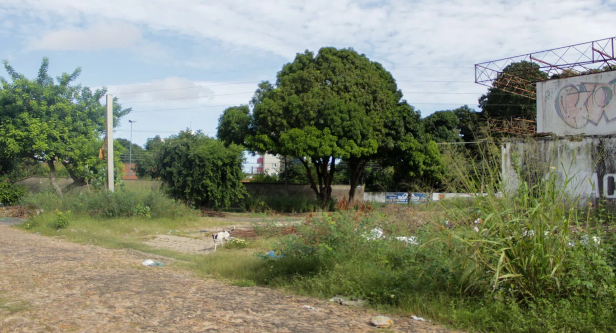 Lixo na rua