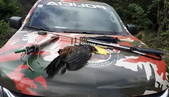 Polícia Militar prende nove pessoas por crime ambiental em Jerumenha