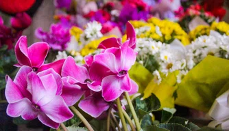 Venda de flores no Shopping natureza