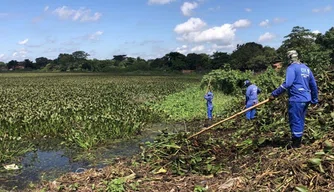 Equipe de limpeza faz retirada de aguapés da lagoa do bairro Mocambinho.