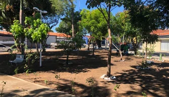 Praça do Skate em Teresina