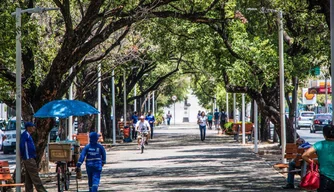 Av. Frei Serafim; Teresina; Meio Ambiente