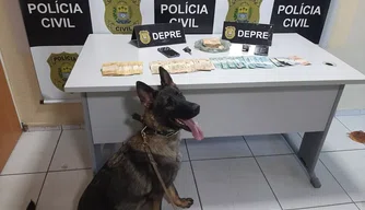 Material apreendido pela Polícia Civil com os suspeitos