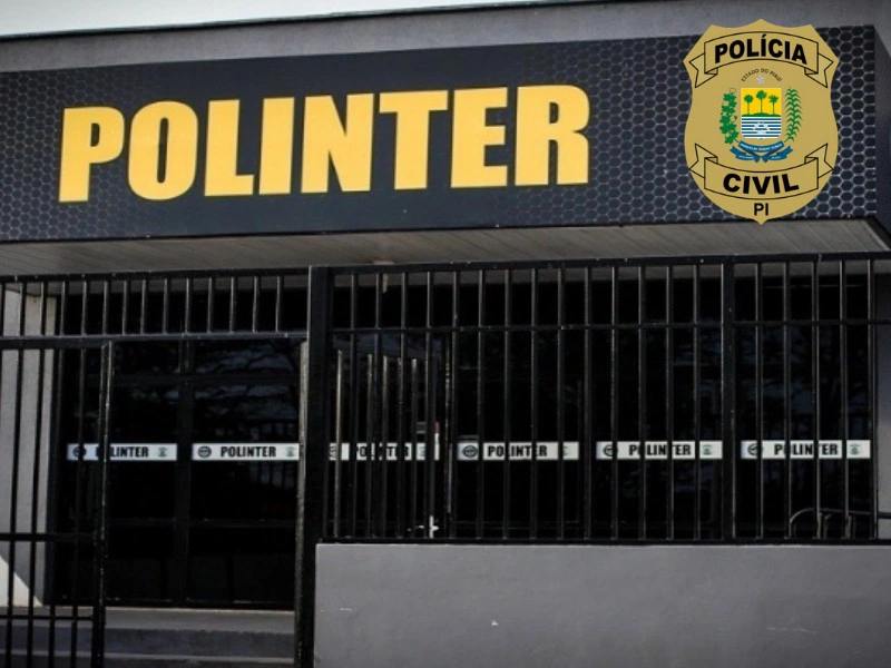 Delegacia de Polícia Interestadual (POLINTER)