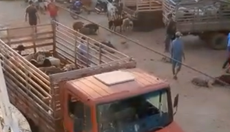 Feira de animais na cidade de Picos.