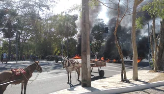 Manifestação dos Carroceiros em frente a Câmara municipal de Teresina