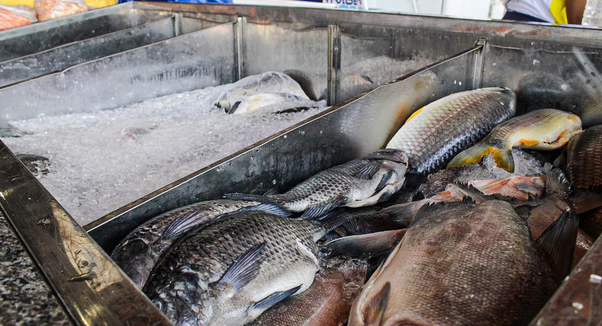 Mercado Do Peixe