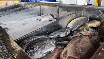 Mercado Do Peixe