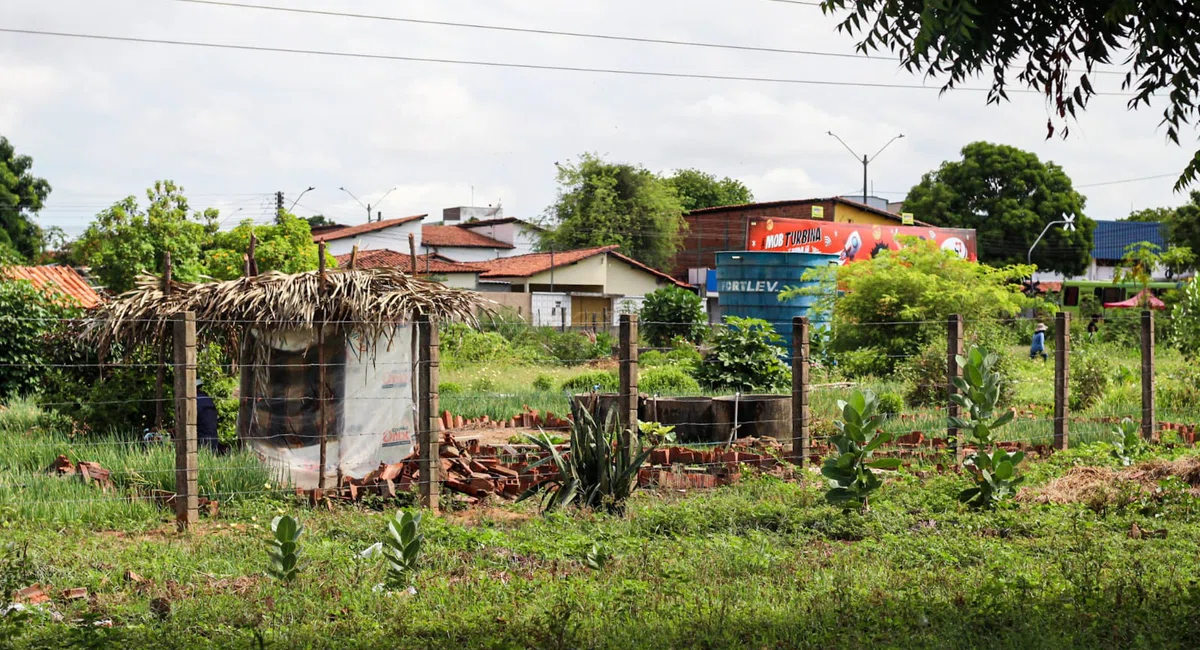 Hortas, Zona Sudeste