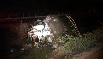 Caminhoneiro fica gravemente ferido em acidente na BR 407 em Geminiano-PI