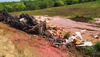 Caminhão carregado com sacas de ração tomba na BR 135 em Bom Jesus-PI.