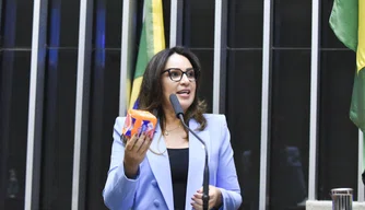 Deputada Federal Rejane Dias.