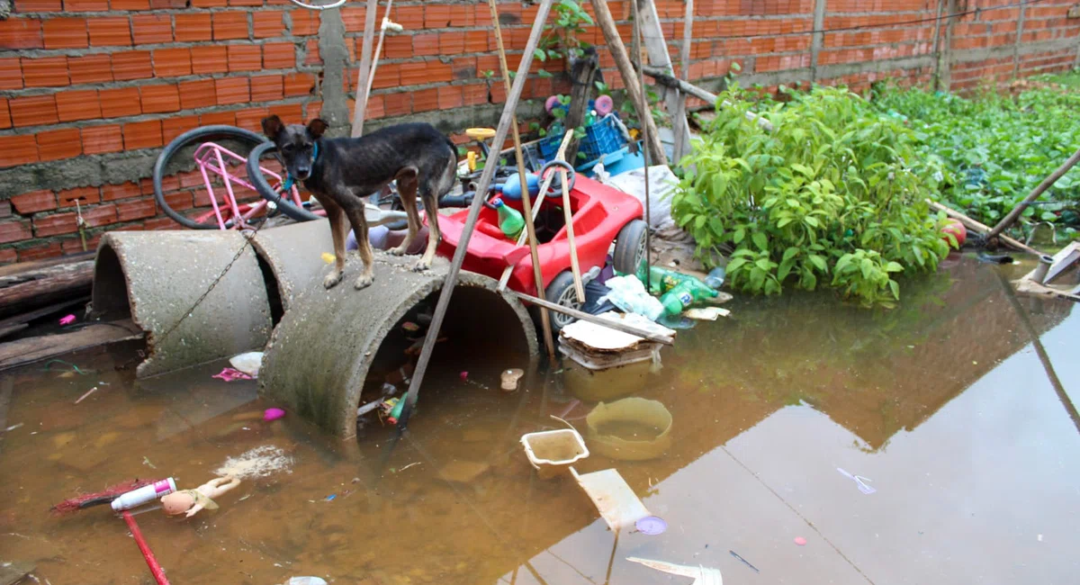 Alagamento na Vila Apolônia em Teresina